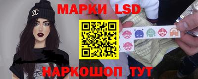 кокс Кингисепп