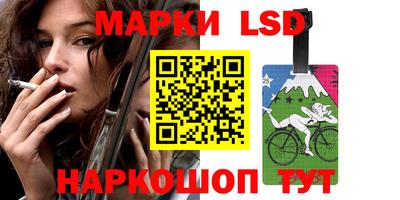кокс Кингисепп