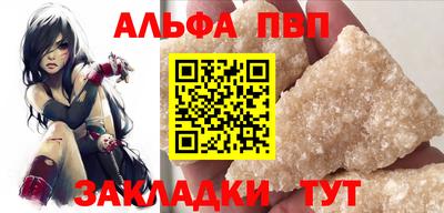 кокс Кингисепп