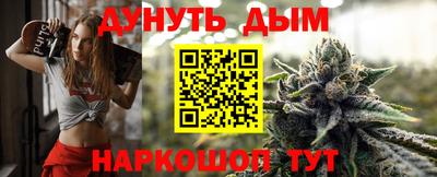 кокс Кингисепп