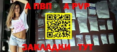 кокс Кингисепп