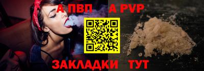кокс Кингисепп