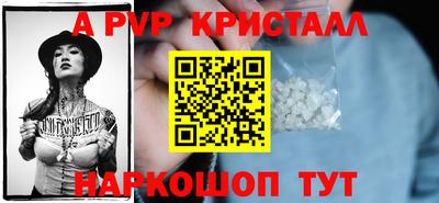 кокс Кингисепп