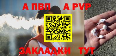 кокс Кингисепп