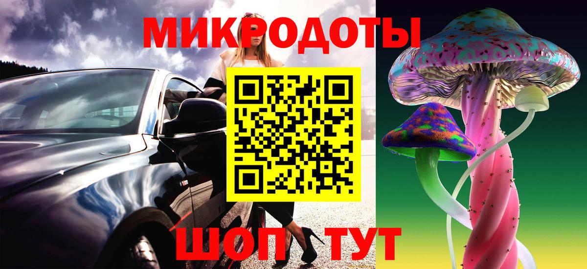 Псилоцибиновые грибы Psilocybe Кузнецк
