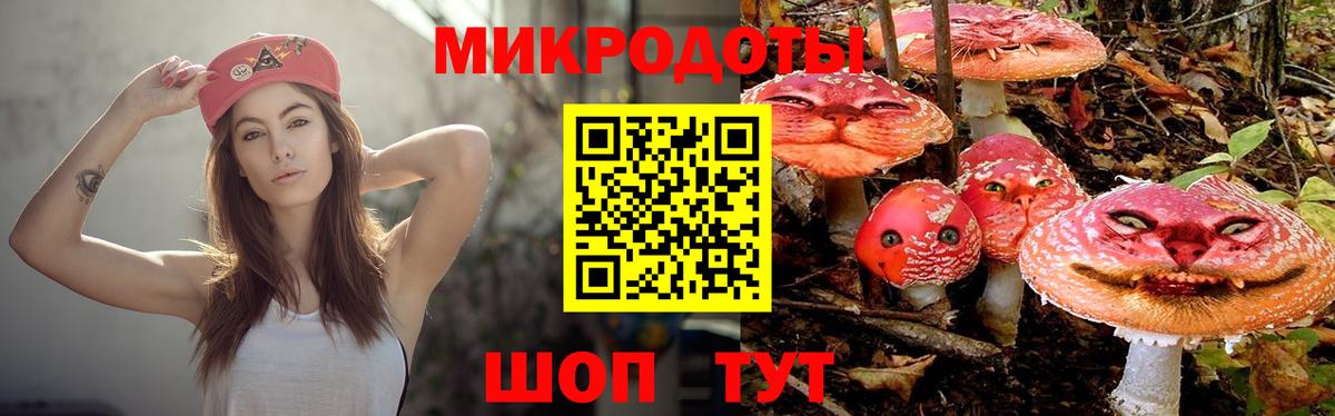 Галлюциногенные грибы Magic Shrooms  купить   Кузнецк  Вход с VPN 